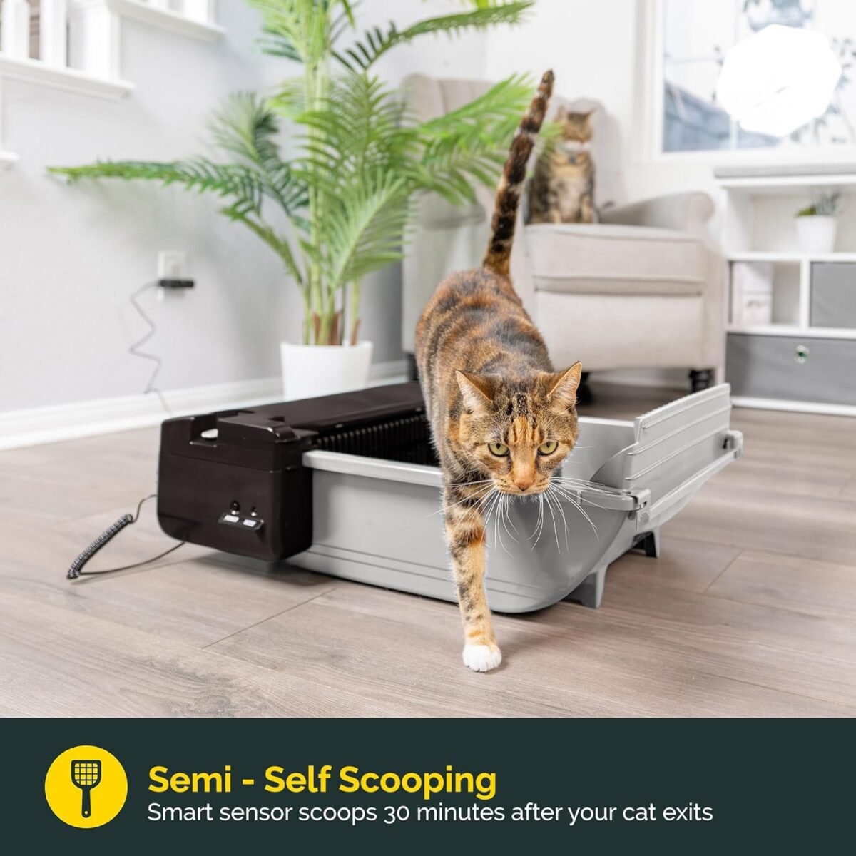 1752662538 pet zone self cleaning automatic cat litter box smart scoop cat litter box with 6 bags carbon filter for up to two cats 6 16 pounds.jpg