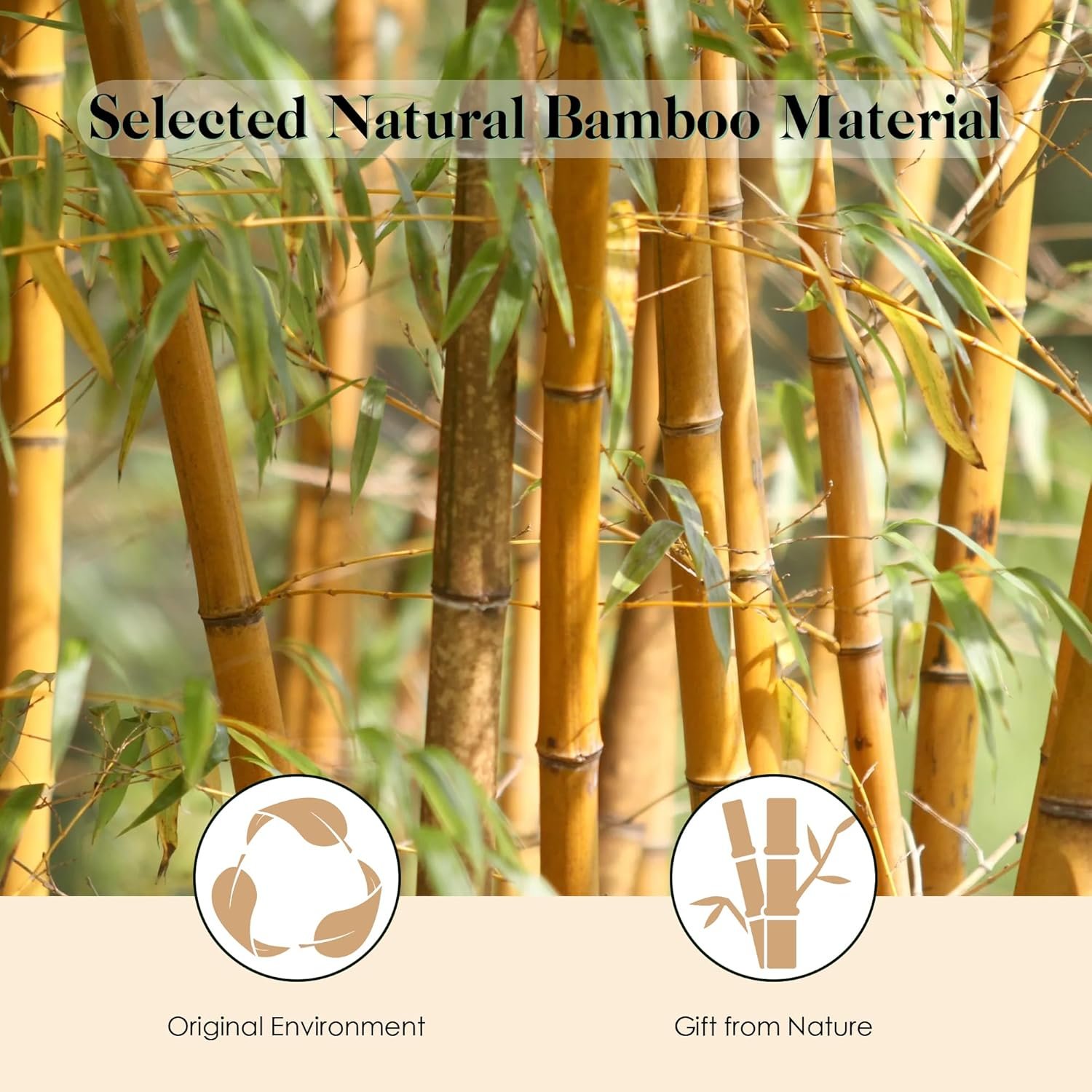 Bamboo Hair Brush for Hair Growth, Natural Bamboo Bristles Detangling Wooden Paddle Hairbrush for Massaging Scalp, for Women Men and Kids, for All Hair Types, with Ergonomic handle - Image 5