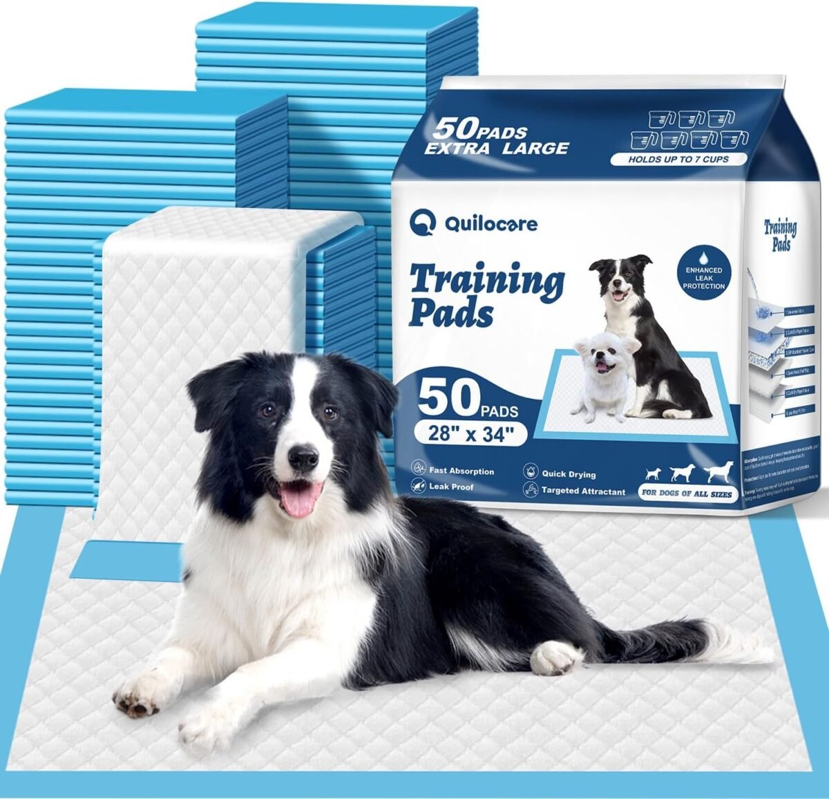 50 Count 28” x 34” XL Disposable Dog Pee Pads, Super Absorbent Leakproof Quick Drying Puppy Pee Pads for Dogs, Extra Large Disposable Dog Training Pads - Image 2