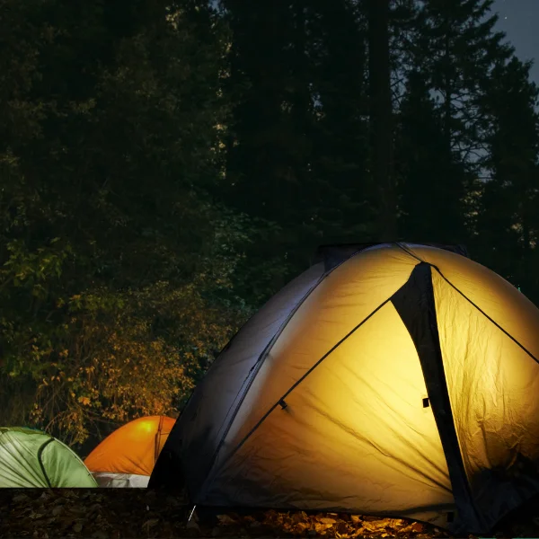 Imgi 21 untitled design 1