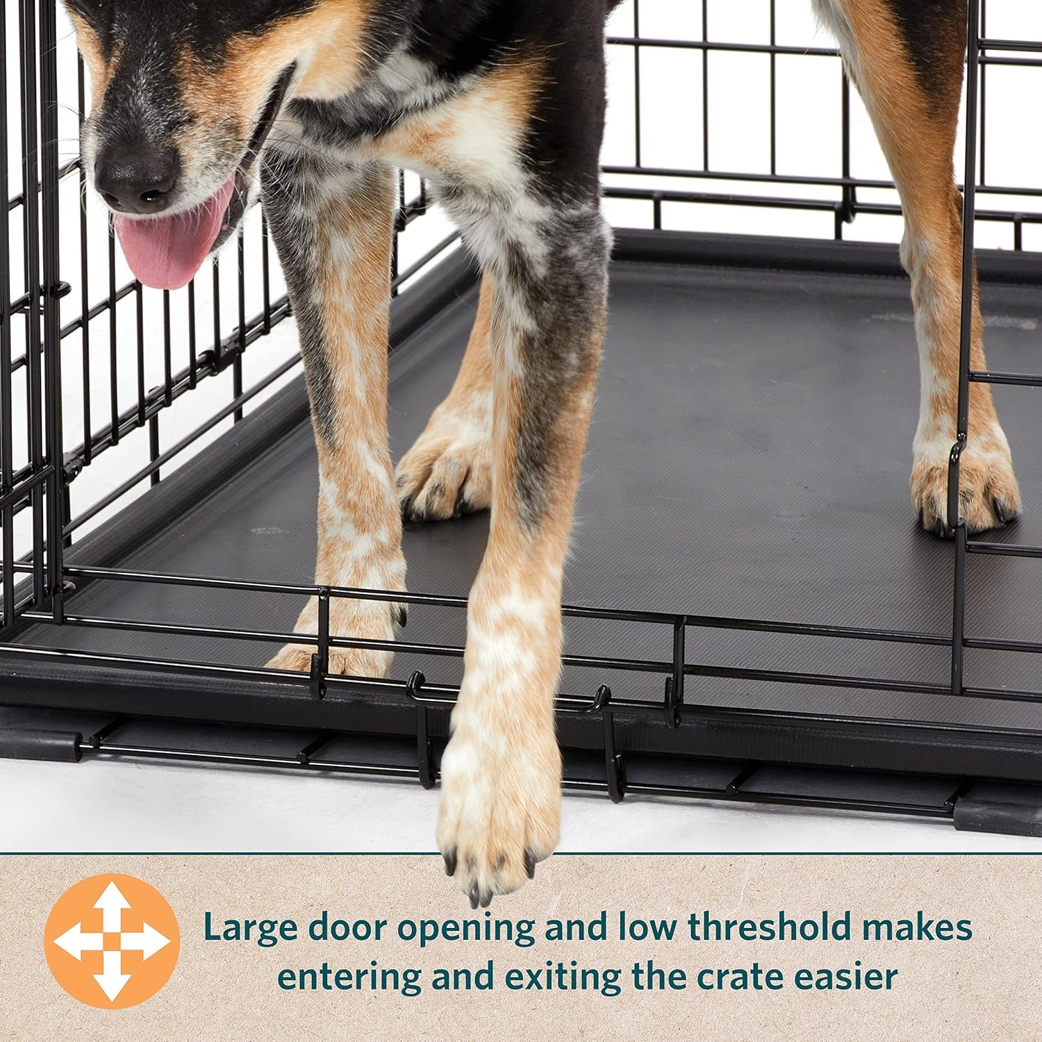 MidWest Homes for Pets 24-Inch LifeStages Crate for Small Breeds, 12-20 lbs, Single Door Folding Dog Crate with Divider Panel, Leak-Proof Tray & Secure Latch, Heavy-Duty & Easy to Assemble - Image 7