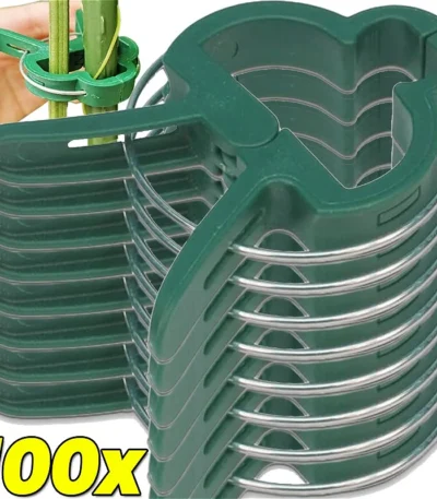 20/100x Plant Fixed Clips Reusable Garden Bracket for Tomato Cucumber Climbing Plants Vine Organizing Branch Support Clip Tools 1