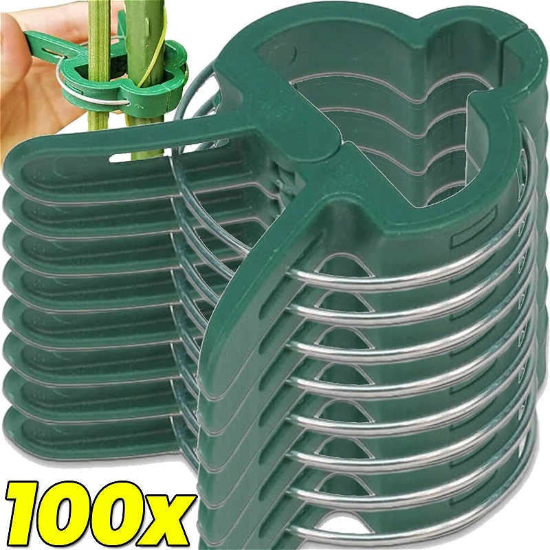 20/100x Plant Fixed Clips Reusable Garden Bracket for Tomato Cucumber Climbing Plants Vine Organizing Branch Support Clip Tools 20/100x Plant Fixed Clips Reusable Garden Bracket for Tomato Cucumber Climbing Plants Vine Organizing Branch Support Clip Tools