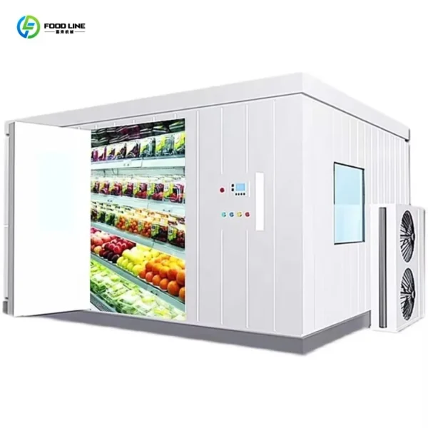 Customized Walk in Cooler Mini Cool Blast Ice Cream Freezer Room Container Refrigeration Unit Machine Cold Rooms Storage