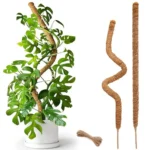 Plant Support Bendable Moss Pole Natural Material Handmade Plant Support Stakes Eco-Friendly Garden Trellis Potted Plants