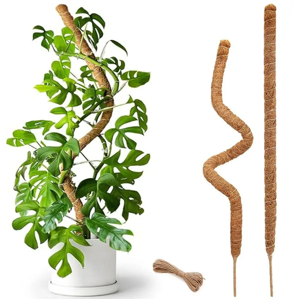 Plant Support Bendable Moss Pole Natural Material Handmade Plant Support Stakes Eco-Friendly Garden Trellis Potted Plants Plant Support Bendable Moss Pole Natural Material Handmade Plant Support Stakes Eco-Friendly Garden Trellis Potted Plants
