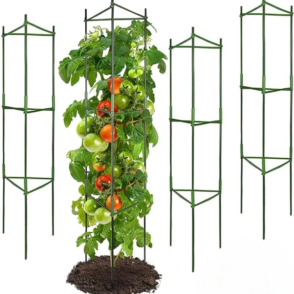 Tomato Cage, Up To 51 Inches Of Plant Stakes Vegetable Grids Assembled For Garden Climbing Plants Vegetables Flowers