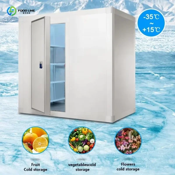 Customized Factory Price Mobile Cold Room & Walk-in Freezer Solutions for Efficient Food Cold Storage and Preservation