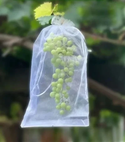 100pcs Grapes Fruit Grow Bags Netting Mesh Strawberry Vegetable Plant Protection Bags For Pest Control Anti-Bird Garden Tools 1