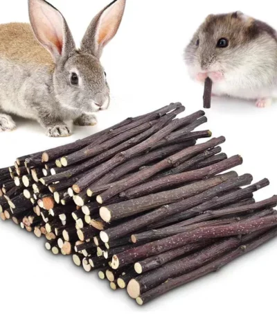 20/40/80/100pcs Hamster Rabbit Teeth Grinding Apple Tree Stick Minerals Molar Stone Toys for Chinchilla Hamster Pet accessories 1