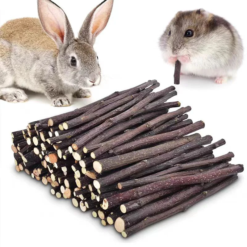 20/40/80/100pcs Hamster Rabbit Teeth Grinding Apple Tree Stick Minerals Molar Stone Toys for Chinchilla Hamster Pet accessories 1